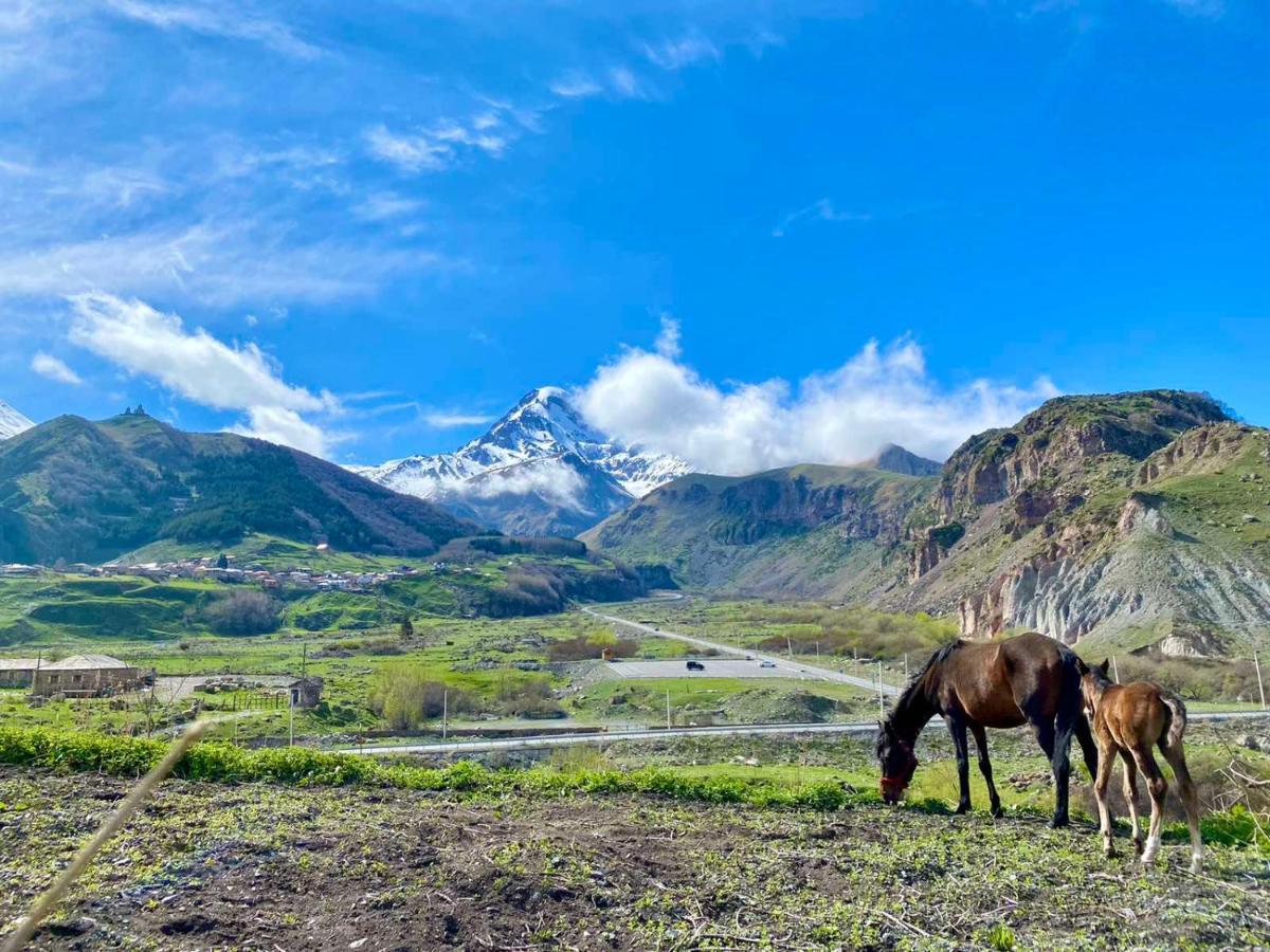 Kazbegi Inn Luaran gambar